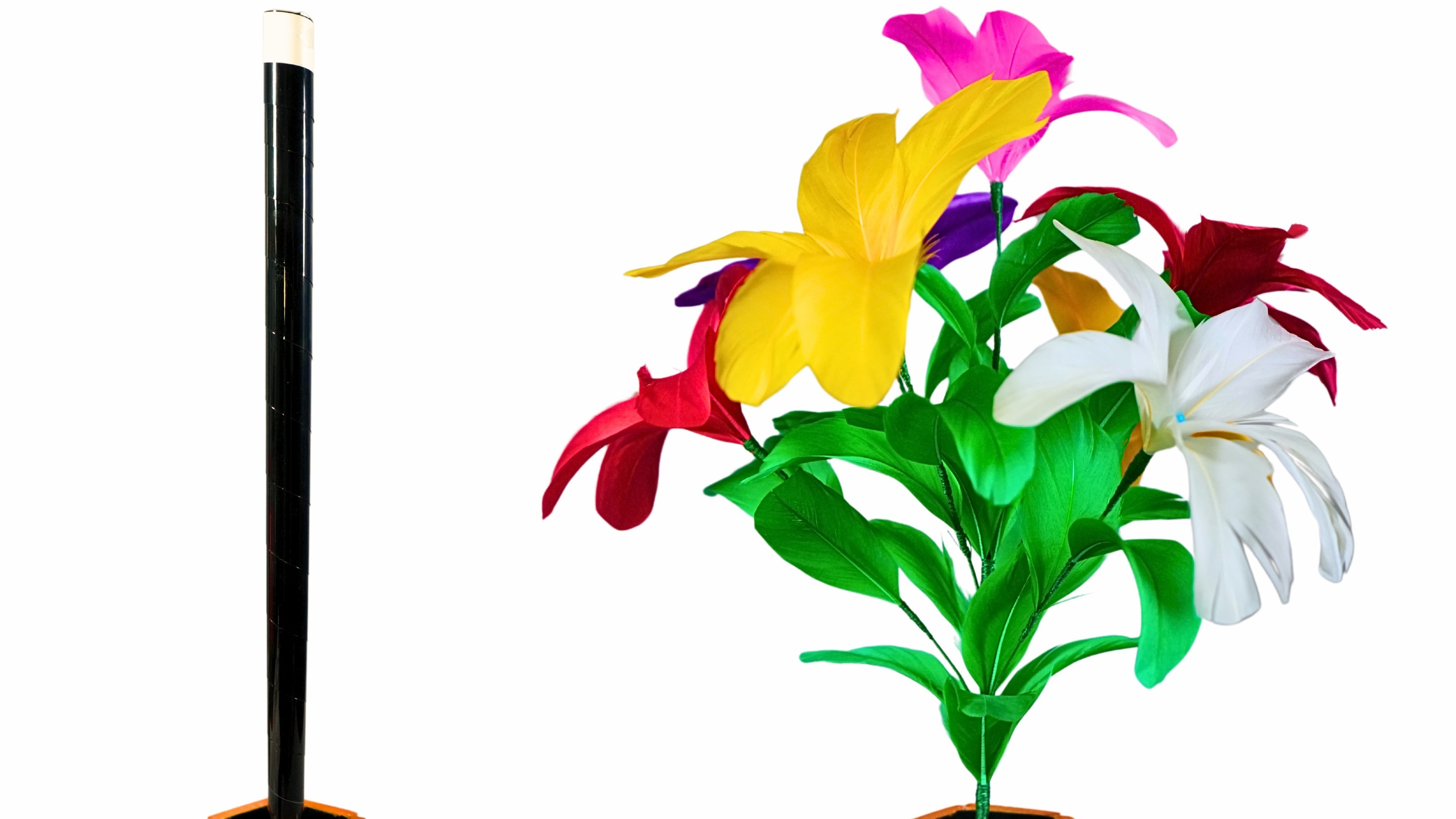 Main Banner Image 1